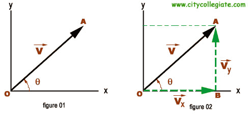 Resolution Of Vector Rectangular Components Of A Vector Horizontal 487x225 Resolution Of Vector Rectangular Components Of A Vector Horizontal