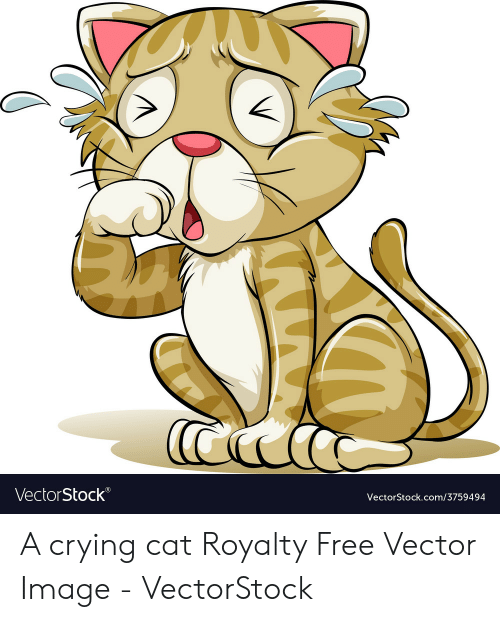 500x622 Vectorstock Ri A Crying Cat Royalty Free