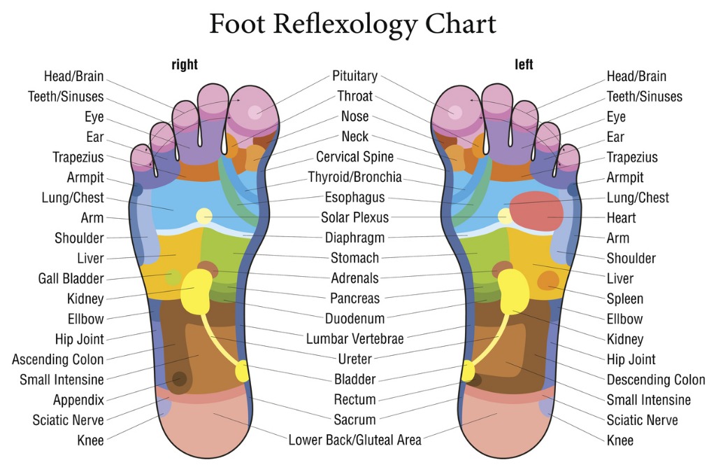 Massage Styles Reflexology 1024x678 Massage Styles Reflexology