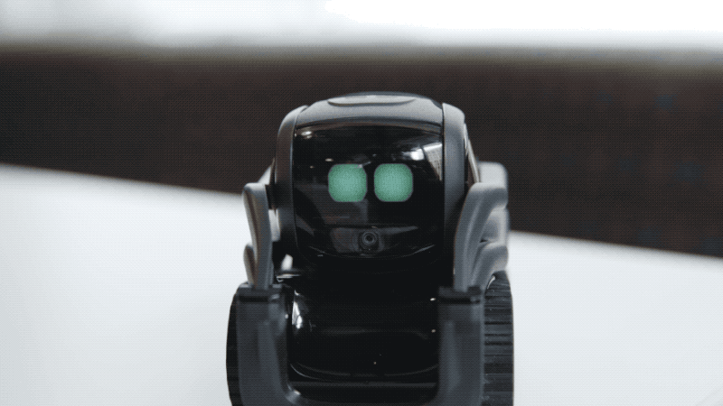 The New Anki Vector Robot Is Smart Enough To Just Hang Out 800x450 The New Anki Vector Robot Is Smart Enough To Just Hang Out