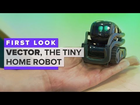 480x360 Meet Vector, The Tiny Home Robot