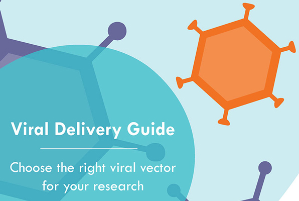 596x400 Plasmid Orfs Cdna Clones Vigene Biosciences