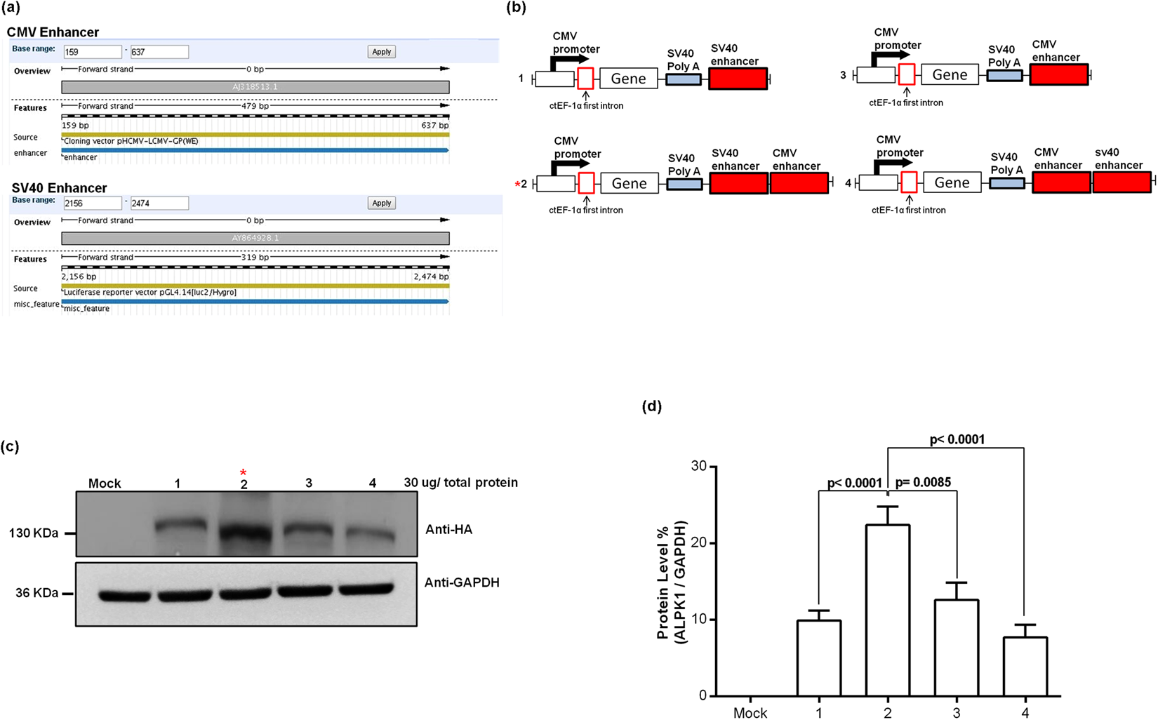 1650x1026 Regulatory Elements In Vectors Containing The Ctef First Intron