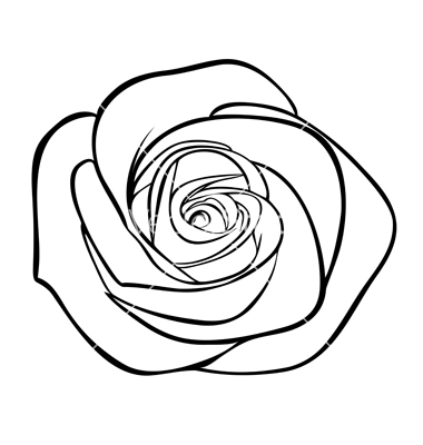 Vector Rose Outline