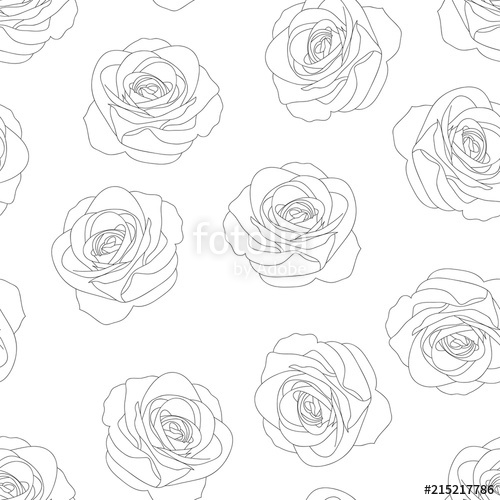 500x500 Rose Outline Background Stock Image And Royalty Free Vector