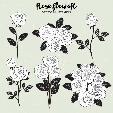 468x468 Rose Icons Collection Black White Outline Vectors Stock In Format
