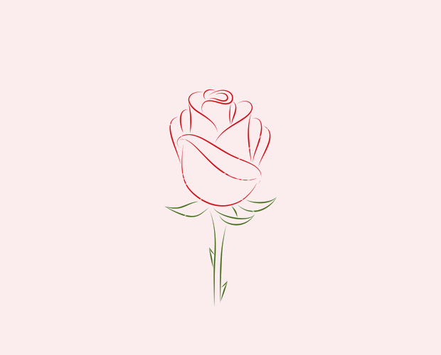 620x500 Rose Vectors