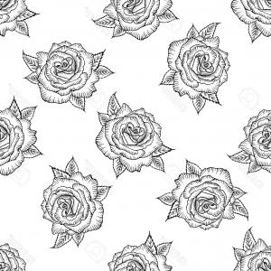 300x300 Roses Black Outline Drawing On White Background Vector Catchsplace