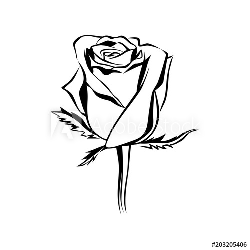 500x500 Vector Rose Bud Outline Silhouette Logo, Tattoo Or Emblem Of Rose