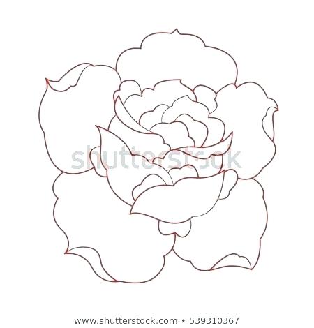 450x470 Rose Flower Outline