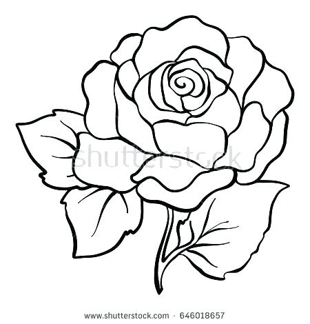 450x470 Rose Line Drawing Clip Art