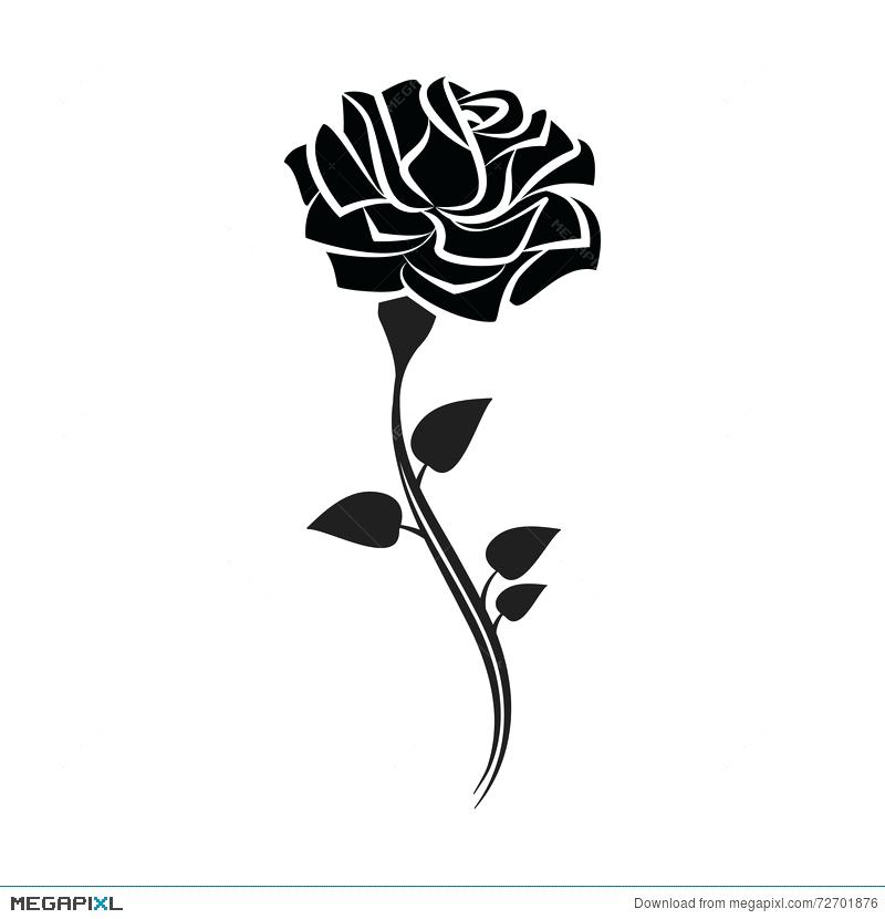 Vector Rose Outline at Vectorified.com | Collection of Vector Rose ...