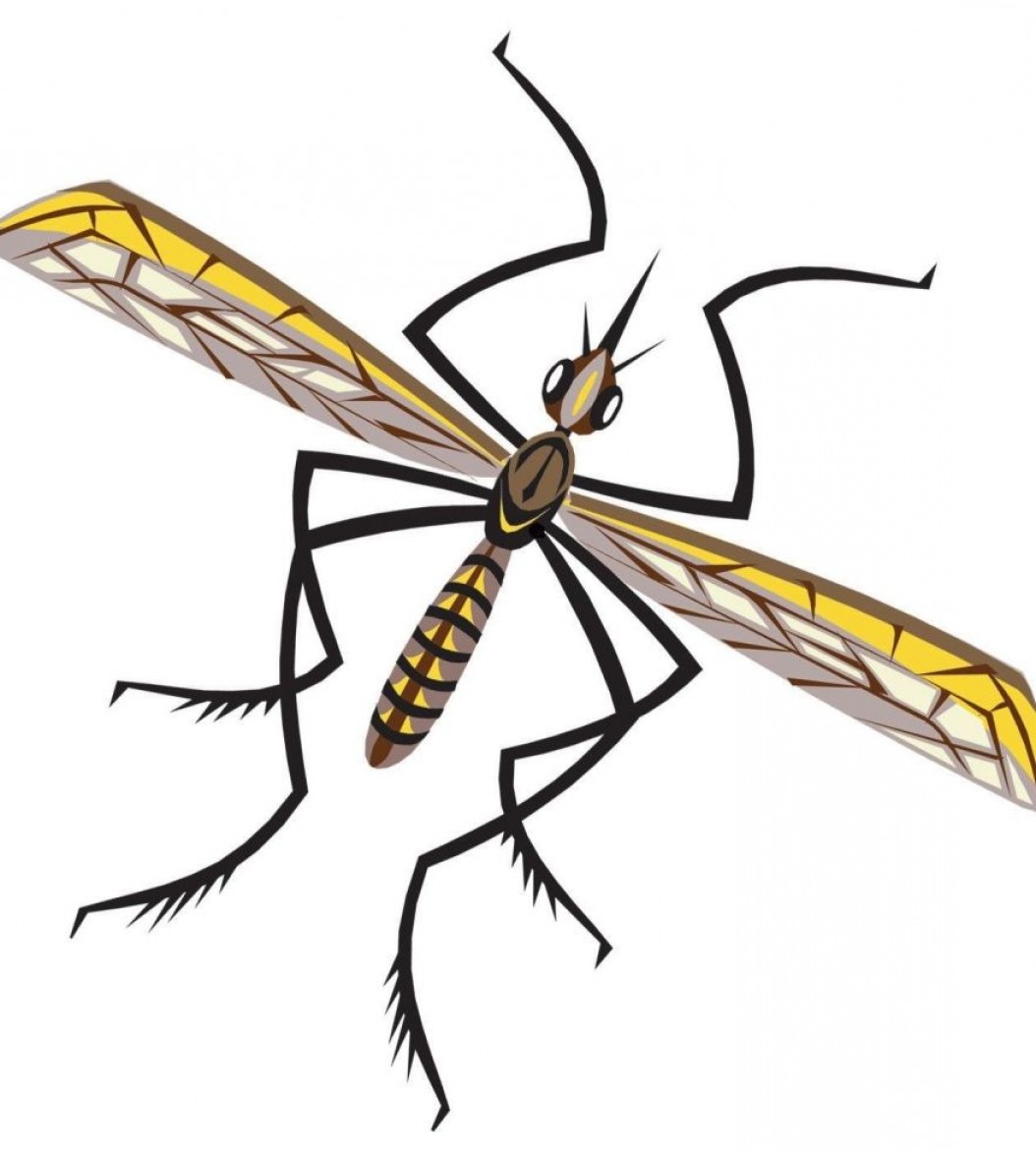 1054x1171 Sacramento Yolo Mosquito Vector Control District Announces