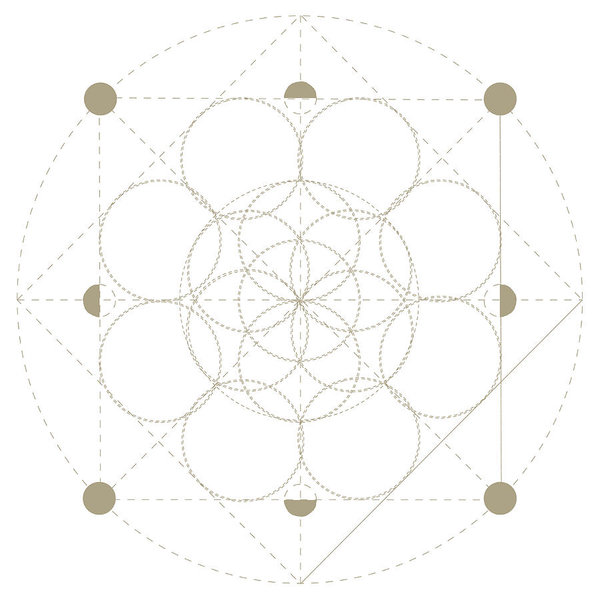 600x600 Vector Sacred Geometry Symbol Seed Of Life, The Precursor