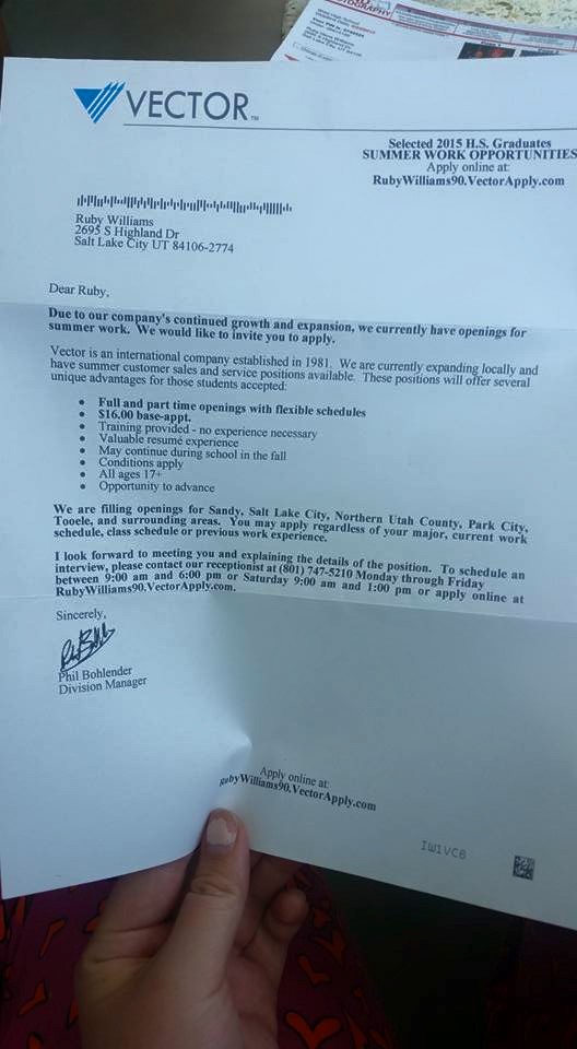 528x960 Vector Company Scam