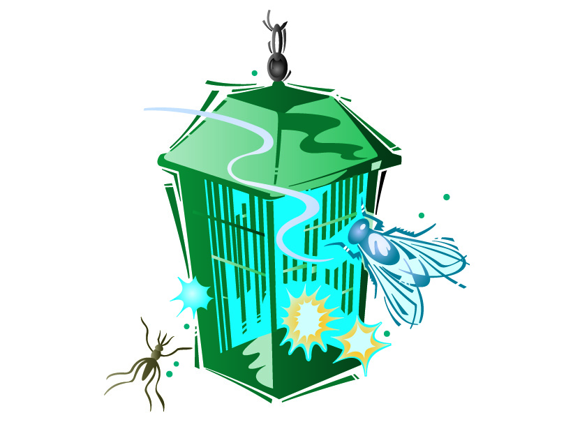 831x615 Vector Control Assessment Increased Following Unusually Wet Year