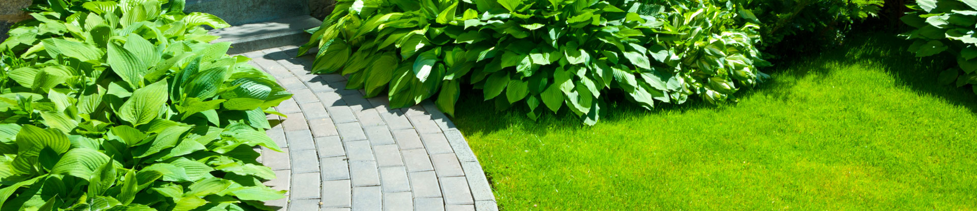 Commercial Health Related Services Vector Pest Control Programs 1920x415 Commercial Health Related Services Vector Pest Control Programs