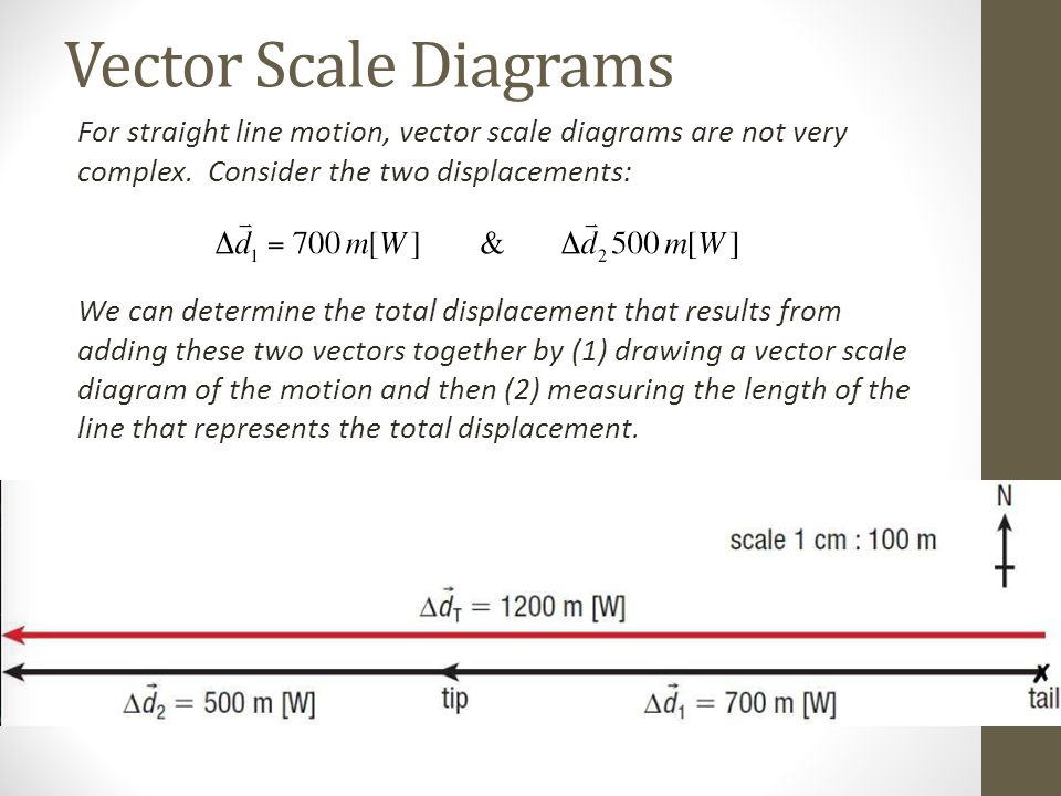 Vector Scale Diagram at Vectorified.com | Collection of Vector Scale ...