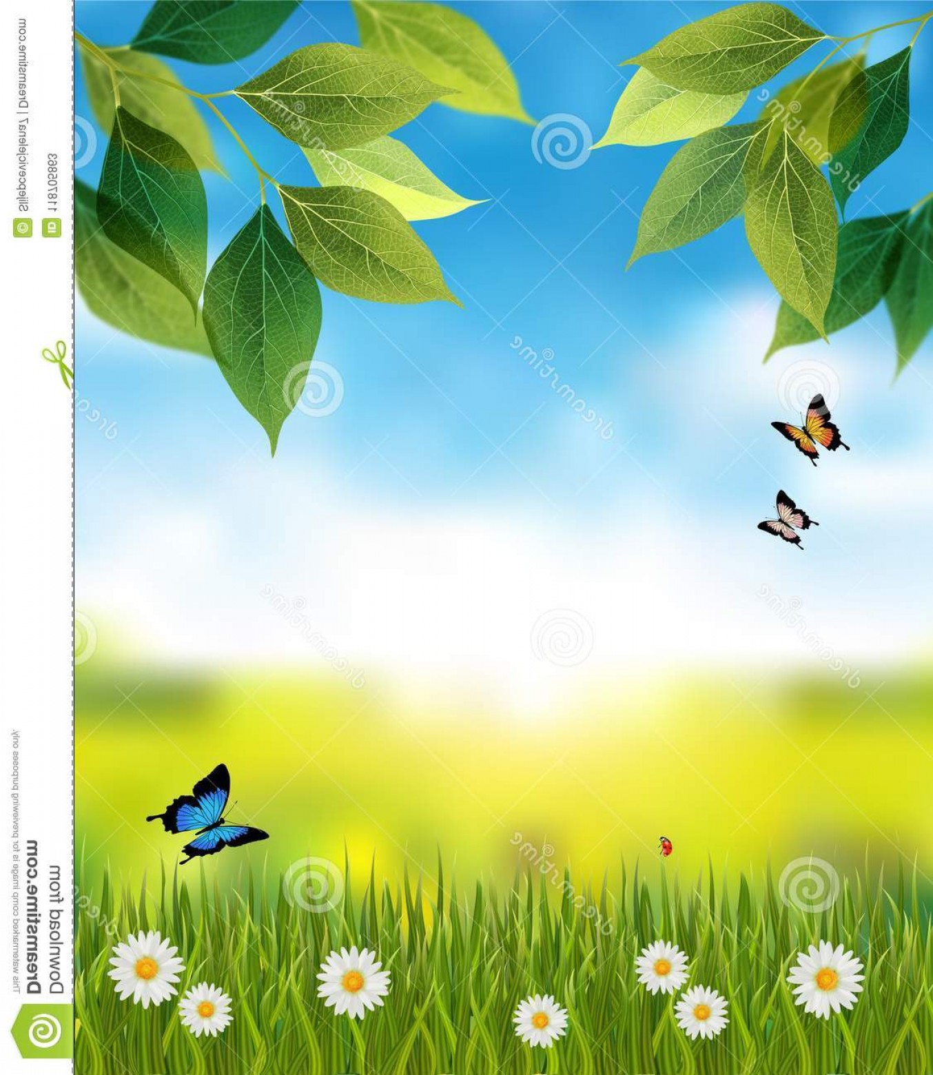 Nature Background Spring Scene Green Grass Leaves Flowers 1354x1560 Nature Background Spring Scene Green Grass Leaves Flowers