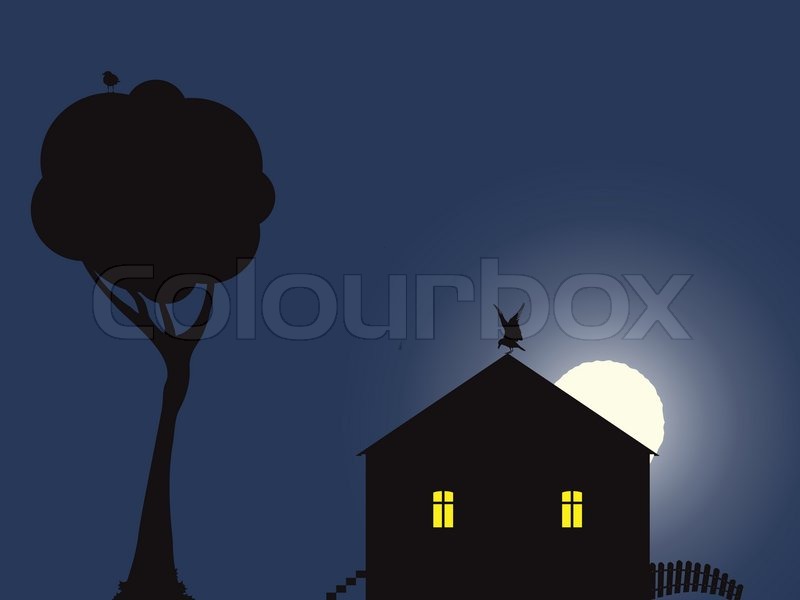 Night Scene With House, Birds And Moon Stock Vector Colourbox 800x600 Night Scene With House, Birds And Moon Stock Vector Colourbox
