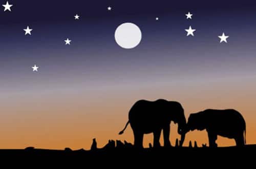 Cool Free Vector Night Scenes For Designers Best Web Design 500x330 Cool Free Vector Night Scenes For Designers Best Web Design