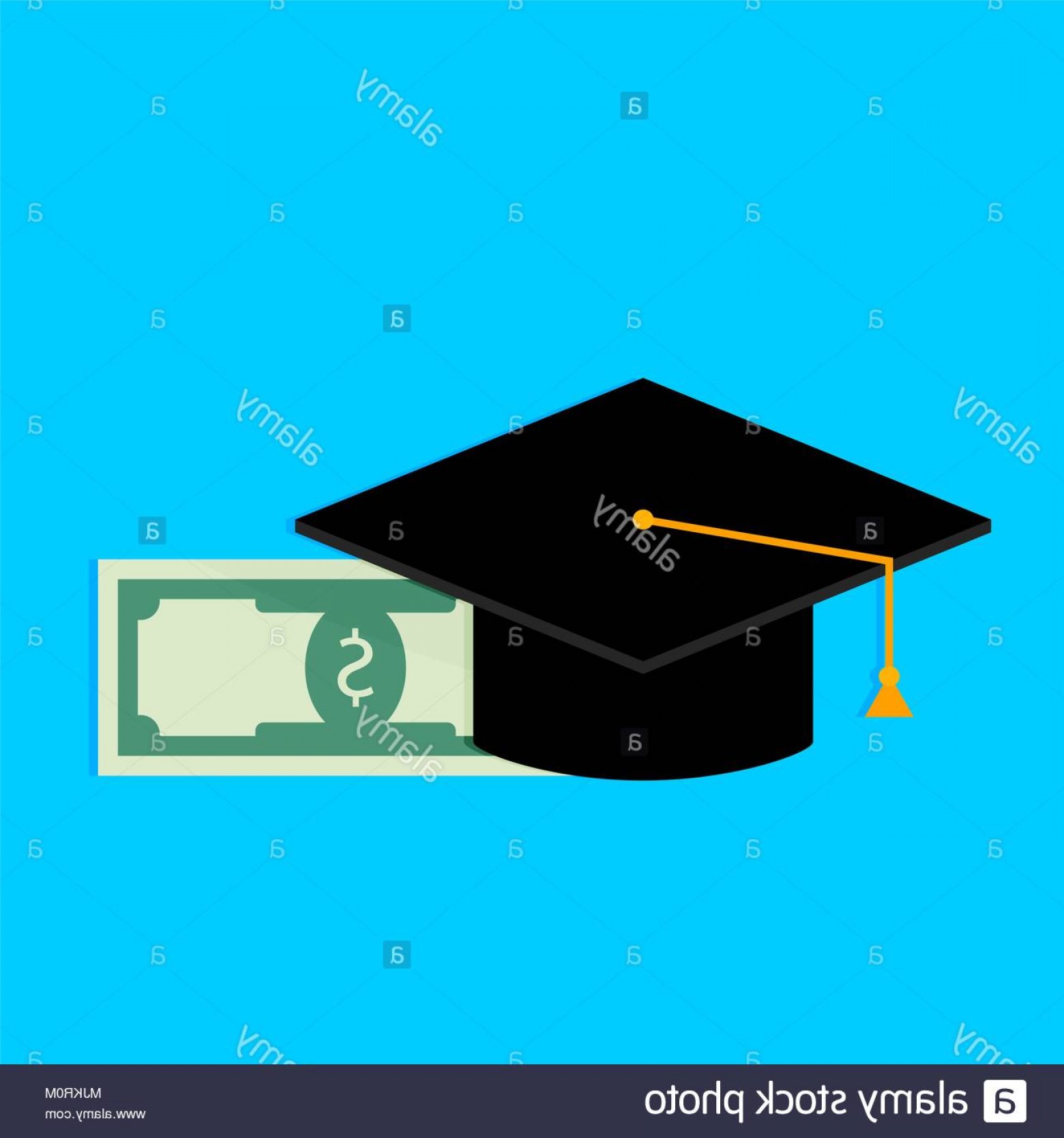 1560x1668 Grant For Bachelor Training Finance Money Scholarship Financial