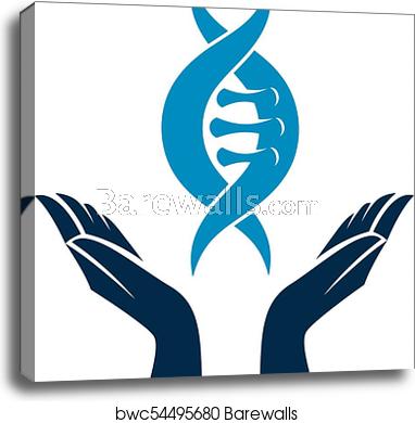 382x390 Caring Hands Hold A Model Of Human Dna Bioengineering As