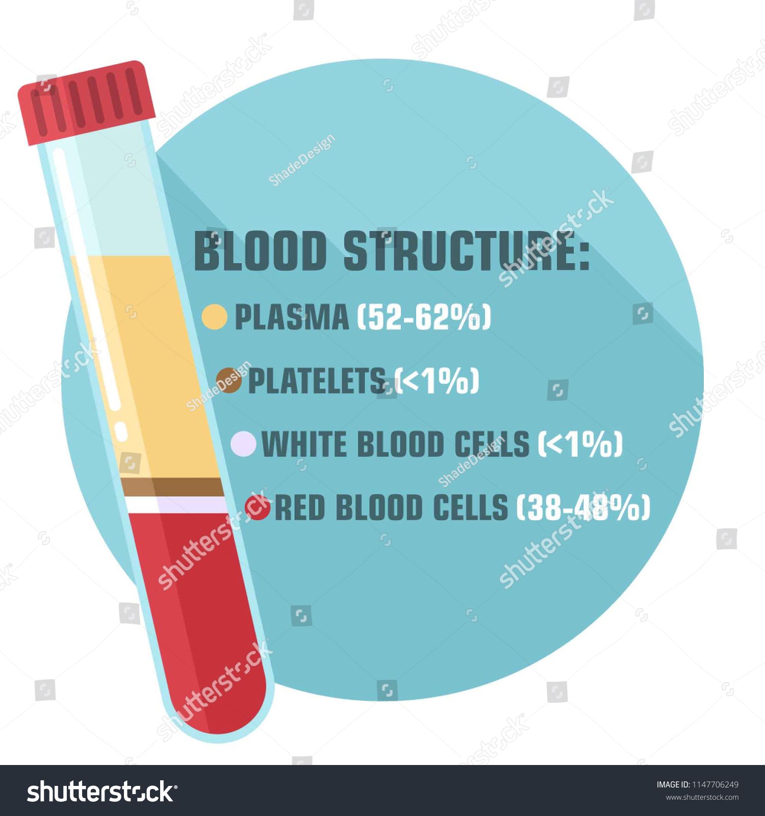 1500x1600 Vector Scientific Icon Structure And Components Of Blood