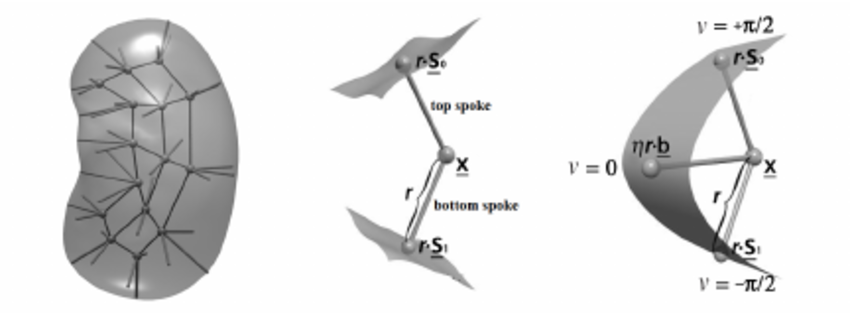 850x313 Along Object Volumetric Vector Fields Computed For Scm