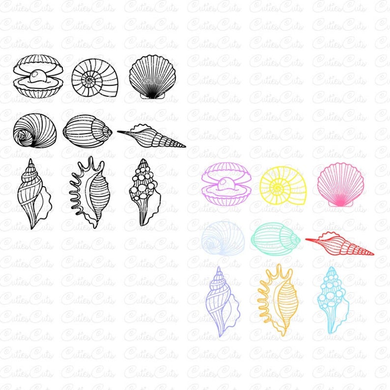 794x794 Sea Shell Mermaid Shell Dxf Png Vector Seashell Etsy