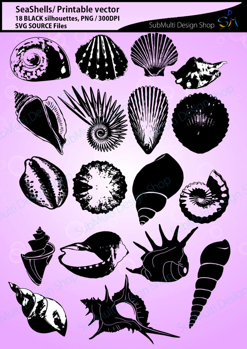794x1121 Seashells Silhouette Sea Shell Dxf Vector Sea Etsy