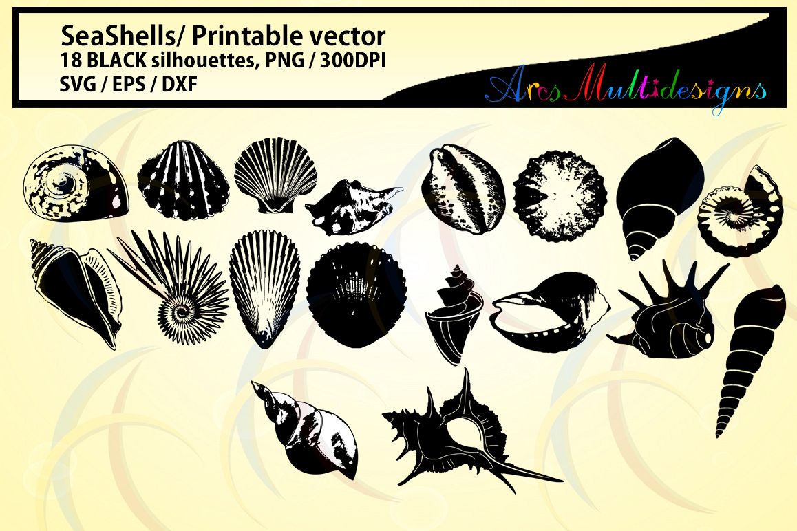 1158x772 Seashells Silhouette Sea Shell Dxf Vector Sea Shell