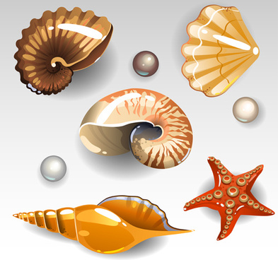 393x368 Seashells Vector Free Vector Download