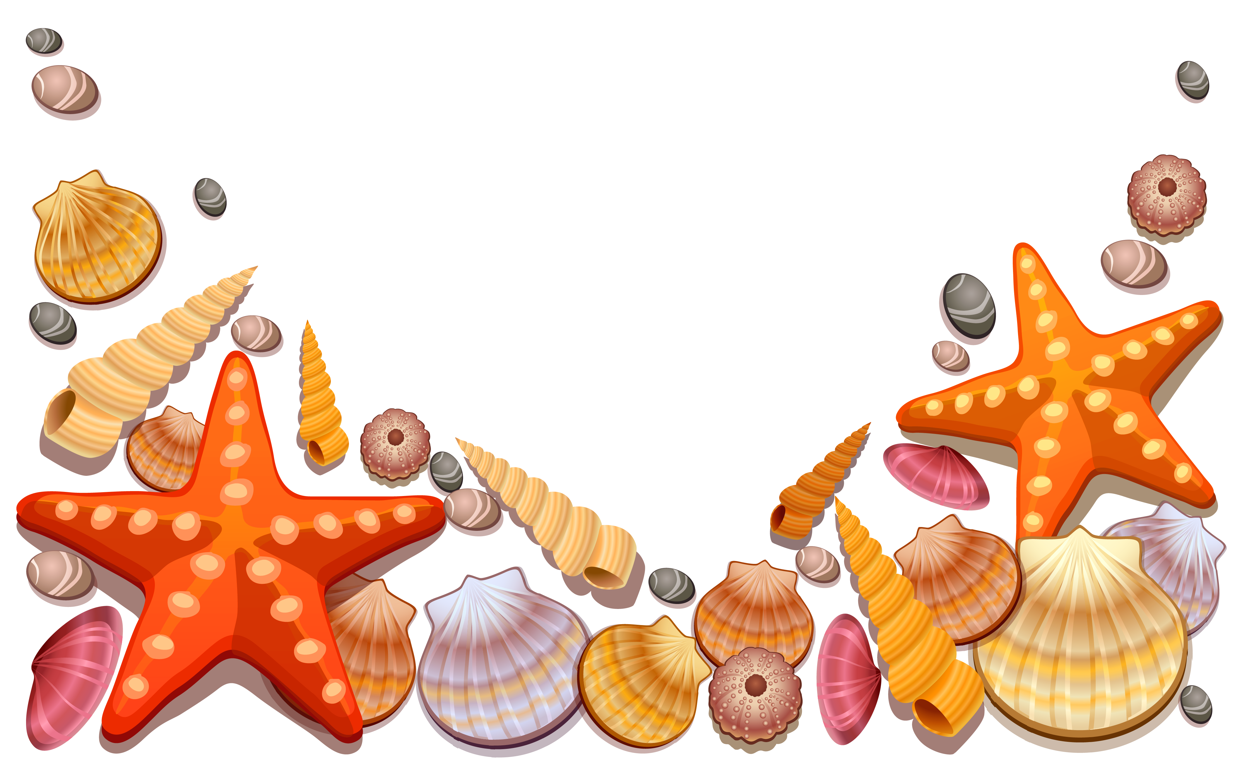 4242x2645 Download Seashell Decor Vector Sea Shells Free Download Image