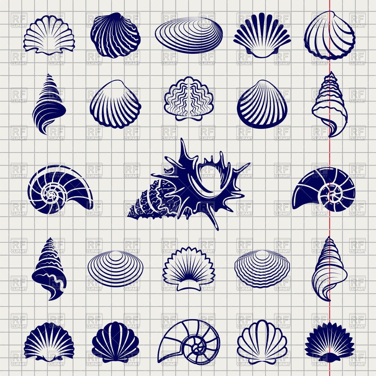 1200x1200 Sketch Of Sea Shells Vector Image Of Nature, Landscape
