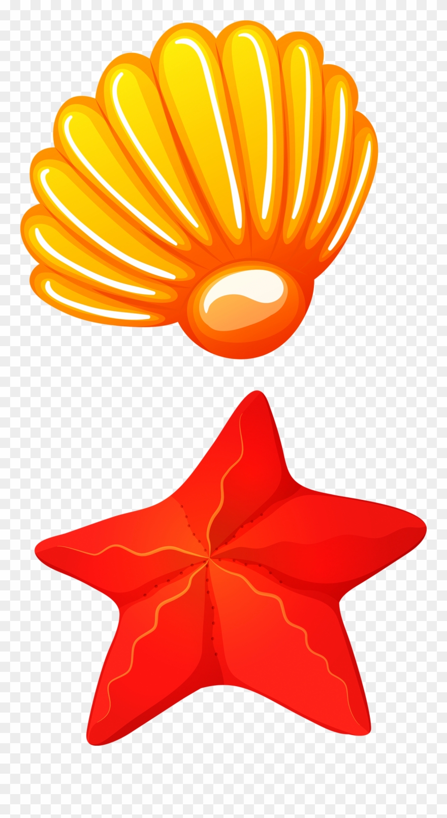 880x1607 Royalty Free Library Seafood Seashell Clip Art