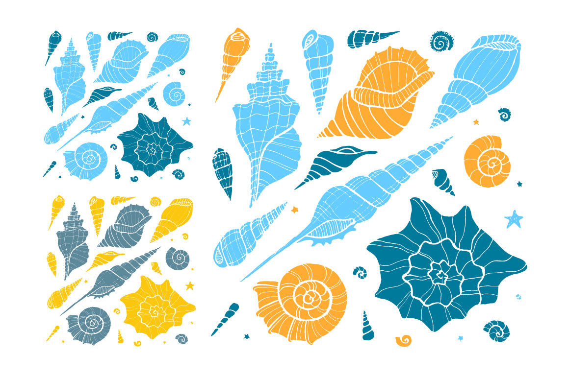 1160x772 Vector Sea Shells + Patterns