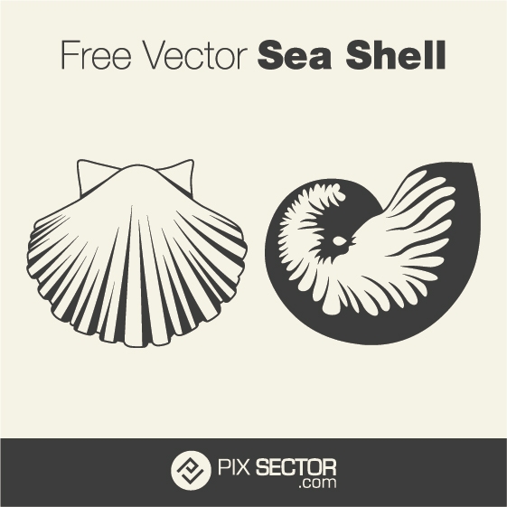 561x561 Free Vector Sea Shell