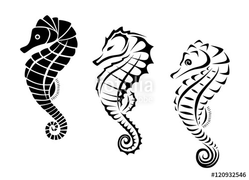 500x361 Seahorse Tribal Tattoo Stock Image And Royalty Free Vector