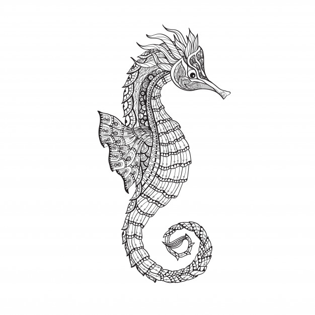626x626 Doodle Sketch Seahorse Black Line Vector Free Download