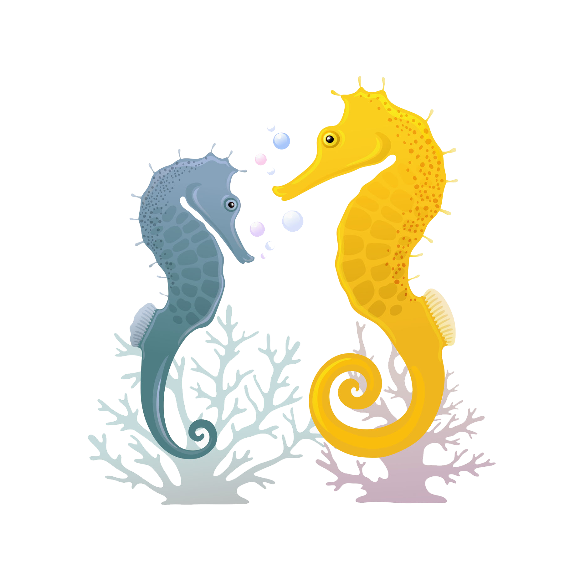 1869x1869 Seahorse Vector Clipart Images Gallery For Free Download Myreal