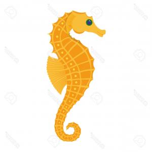 300x300 Vector Illustration Of Seahorse Silhouette Hand Drawing Seahorse