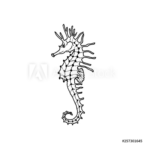 500x500 Vector Illustration Of Seahorse Silhouette Hand Drawing Seahorse