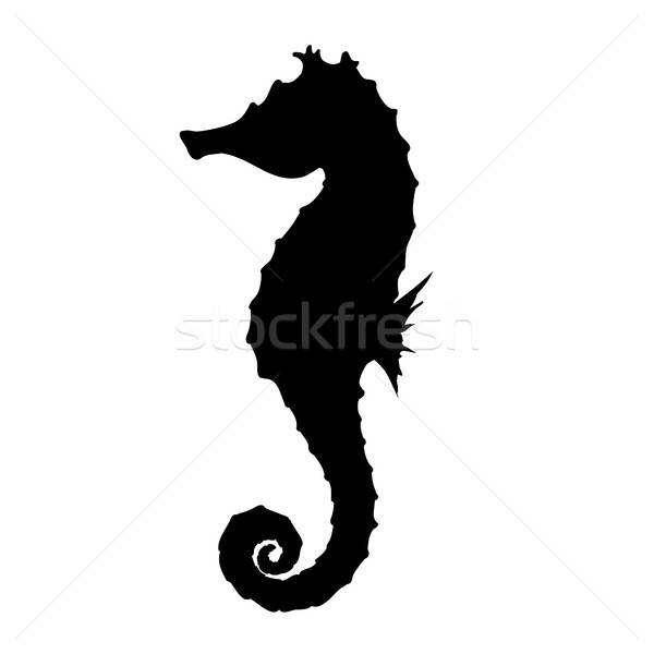600x600 Seahorse Silhouette Illustration Vector Illustration Cihan