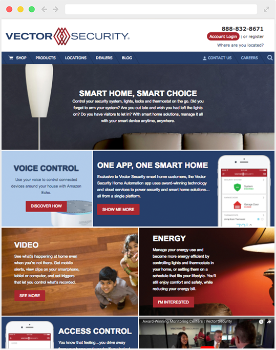 Content Management Systems 539x683 Content Management Systems