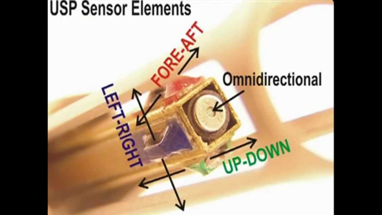 1280x720 The Acoustic Vector Sensor Microflown Avisa