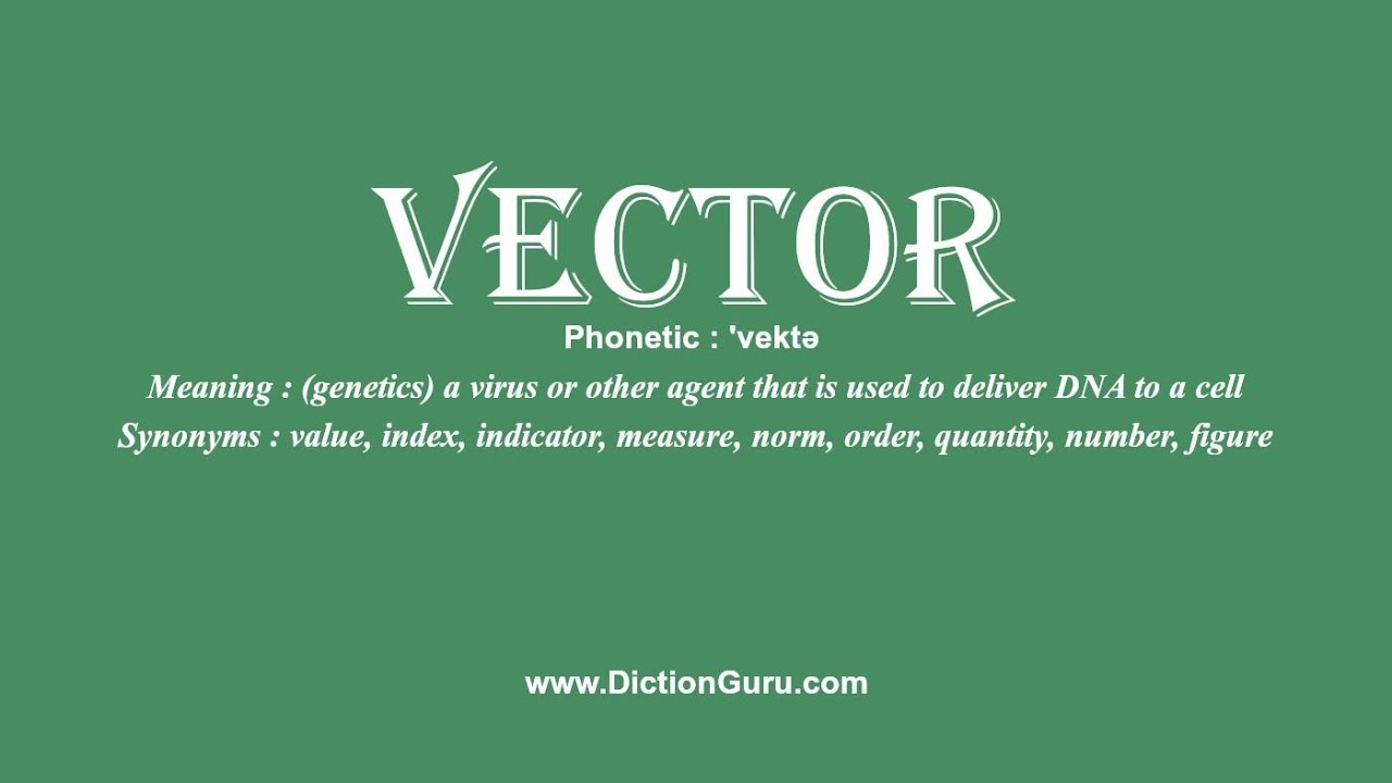 Vector Sentence at Vectorified.com | Collection of Vector Sentence free