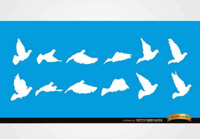 640x446 Free Vectors Dove Flying Sequence Silhouettes Vector Open Stock