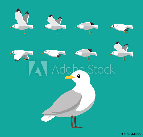 500x480 Seagull Flying Animation Sequence Cartoon Vector