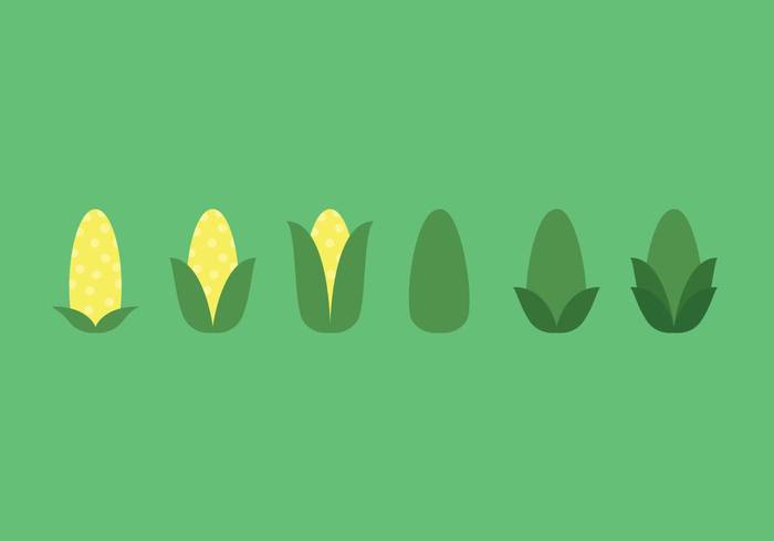 700x490 Ear Of Corn Vector Sequence